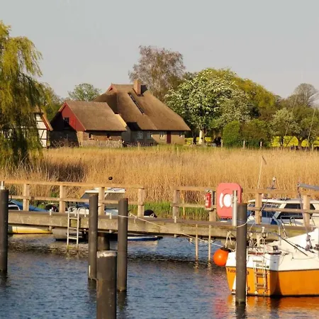 Reetdachhaus Holunder 1_ _ Puddemin