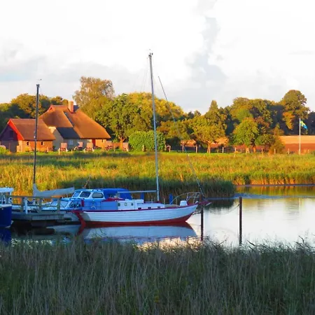 Reetdachhaus Holunder 1_ _ *