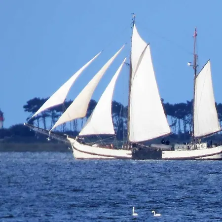 Reetdachhaus Holunder 1_ _