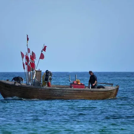 Reetdachhaus Holunder 1_ _ *